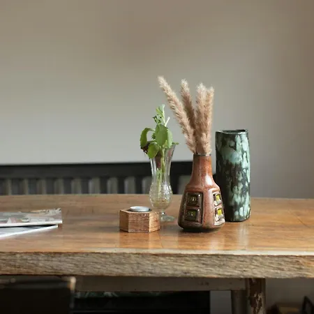 Enjoy The Unique Nature In The Retro Feriehus *