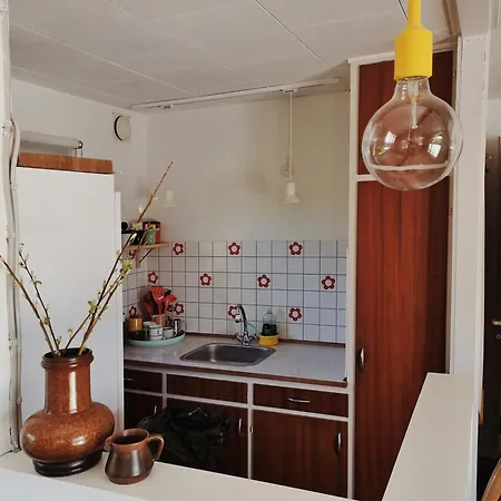 Enjoy The Unique Nature In The Retro *