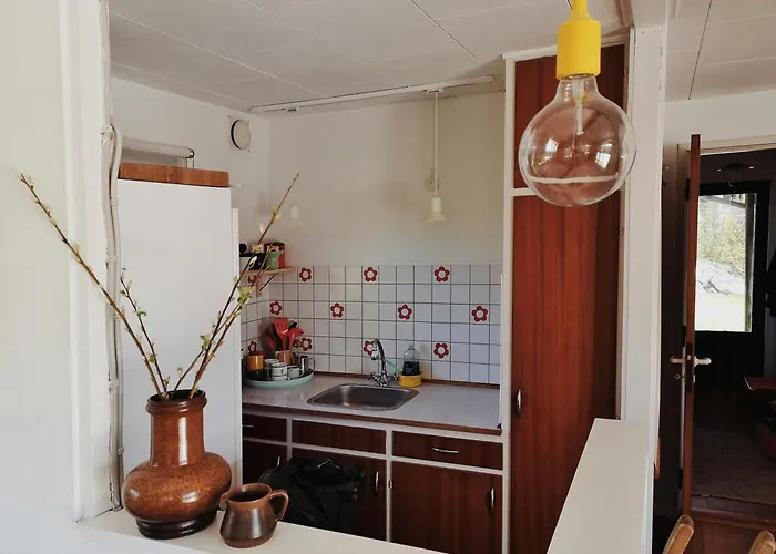 Enjoy The Unique Nature In The Retro *